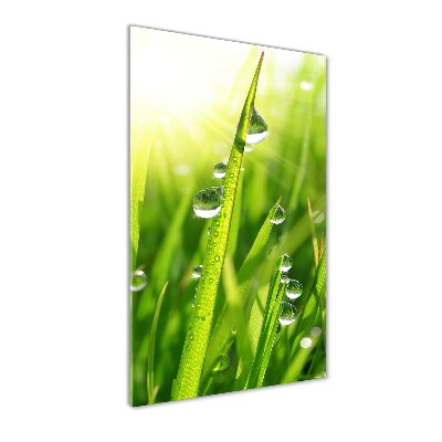 Acrylbild vertikal Grashalme