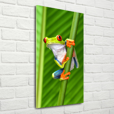 Plexiglasbilder vertikal Europäischer Laubfrosch