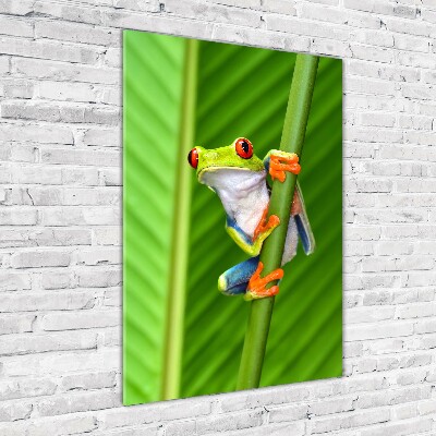 Plexiglasbilder vertikal Europäischer Laubfrosch
