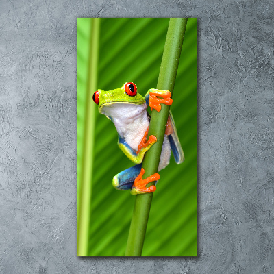 Plexiglasbilder vertikal Europäischer Laubfrosch