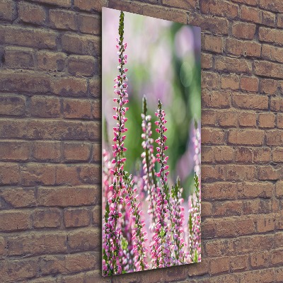 Bild auf Acrylglas vertikal Heidekraut