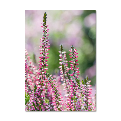 Bild auf Acrylglas vertikal Heidekraut