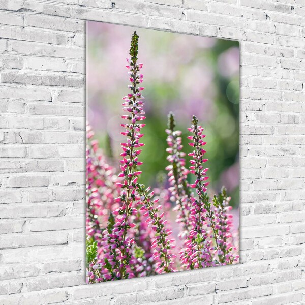 Bild auf Acrylglas vertikal Heidekraut