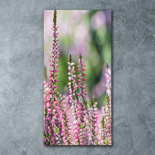 Bild auf Acrylglas vertikal Heidekraut