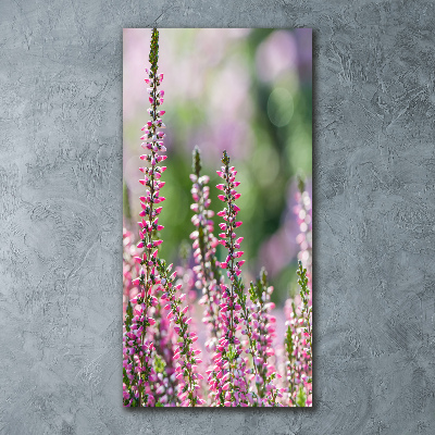 Bild auf Acrylglas vertikal Heidekraut