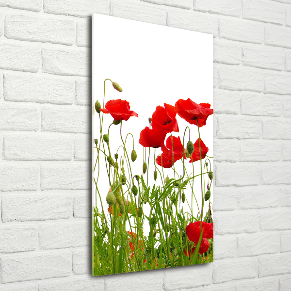Acrylbild vertikal Wildmohn