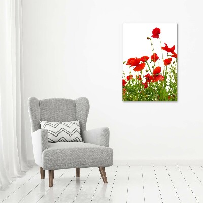 Acrylbild vertikal Wildmohn