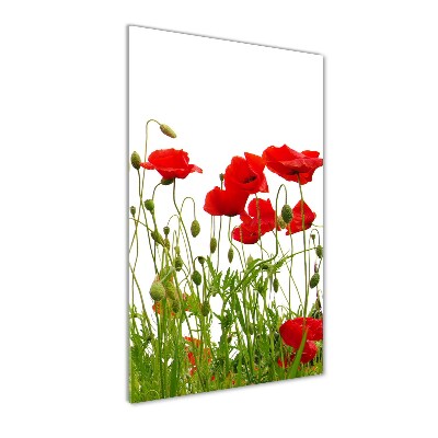 Acrylbild vertikal Wildmohn