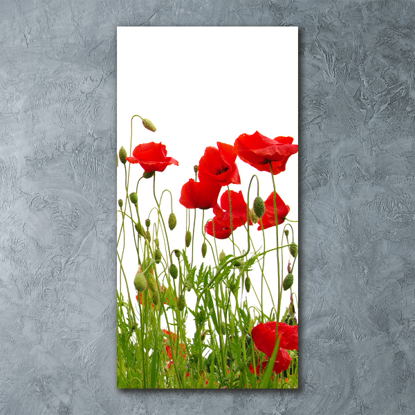 Acrylbild vertikal Wildmohn