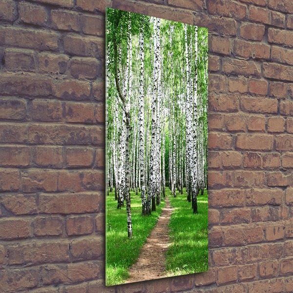 Bild auf Acrylglas vertikal Birkenwald