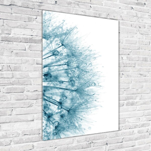 Bild auf Acrylglas vertikal Löwenzahnsamen