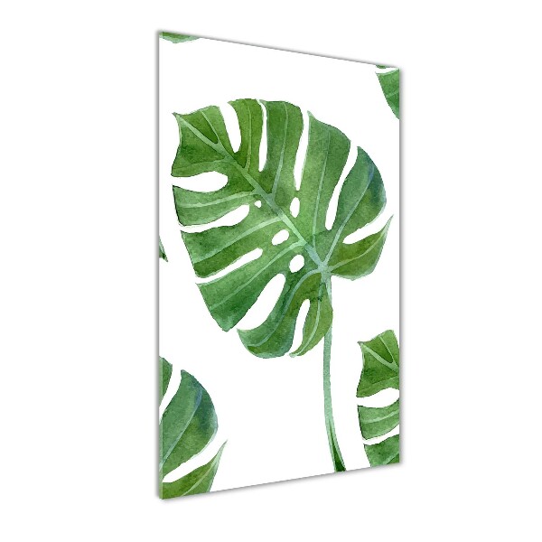 Plexiglasbilder vertikal Monstera
