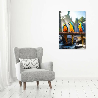 Bild auf Acrylglas vertikal Aras