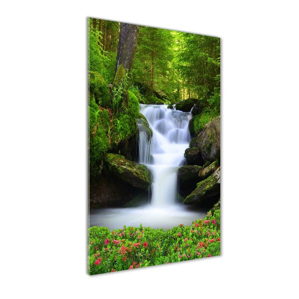 Plexiglasbilder vertikal Wasserfall im Wald