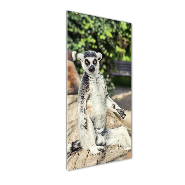 Modernes Acrylbild vertikal Lemur