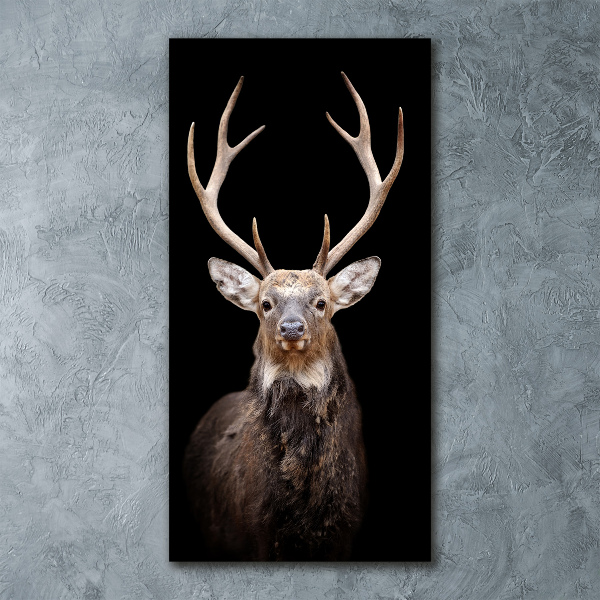 Acrylbild vertikal Reh