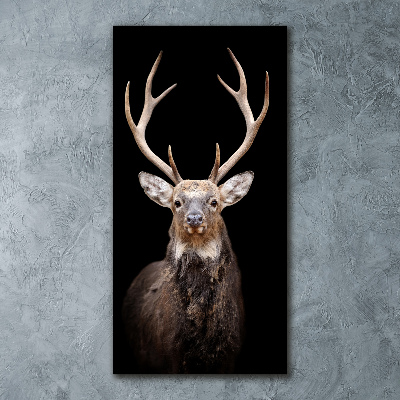 Acrylbild vertikal Reh