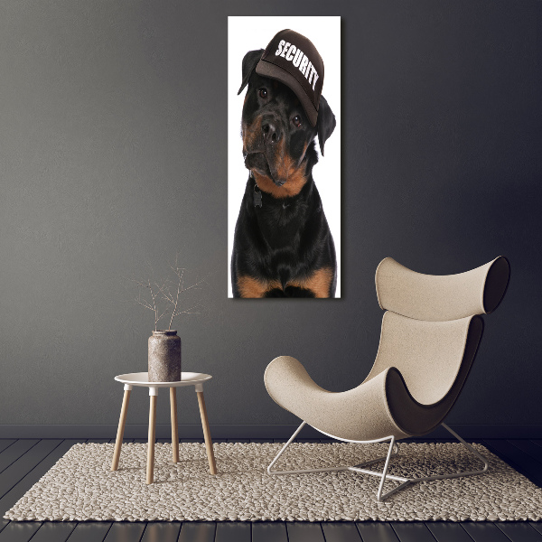 Bild auf Acrylglas vertikal Rottweiler mit Mütze
