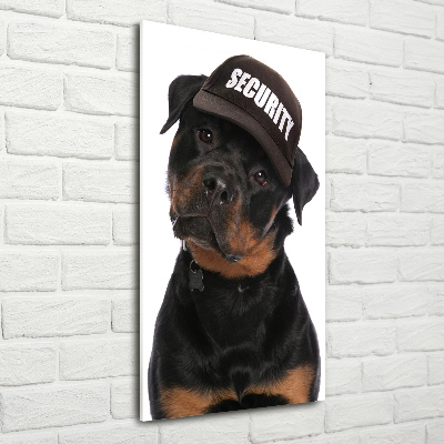 Bild auf Acrylglas vertikal Rottweiler mit Mütze