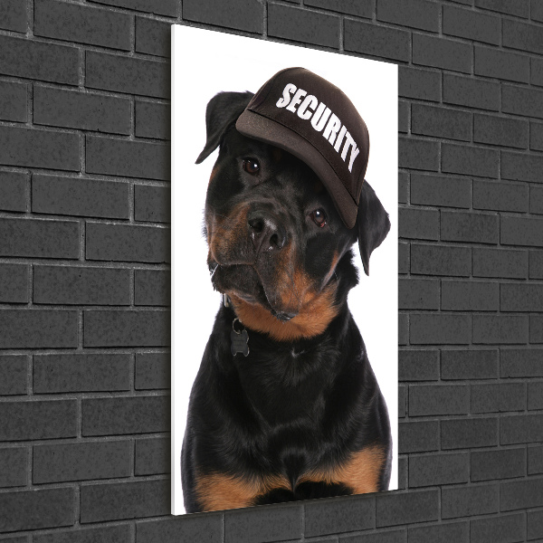 Bild auf Acrylglas vertikal Rottweiler mit Mütze