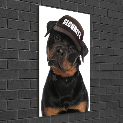 Bild auf Acrylglas vertikal Rottweiler mit Mütze