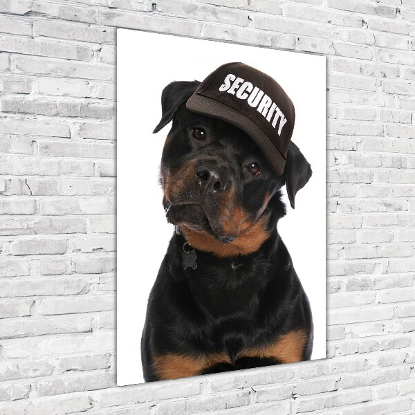 Bild auf Acrylglas vertikal Rottweiler mit Mütze