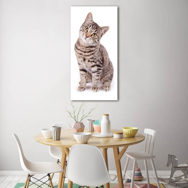 Plexiglasbilder vertikal Katze