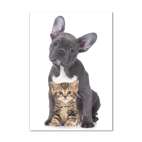 Bild auf Acrylglas vertikal Hund und Katze