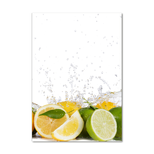Bild auf Acrylglas vertikal Zitrusfrüchte
