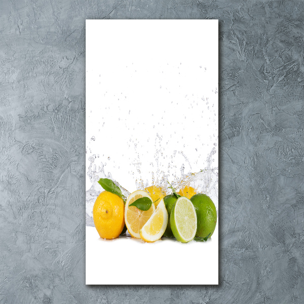 Bild auf Acrylglas vertikal Zitrusfrüchte