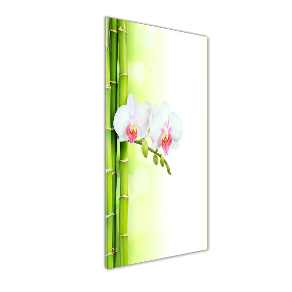 Bild auf Acrylglas vertikal Orchidee und Bambus