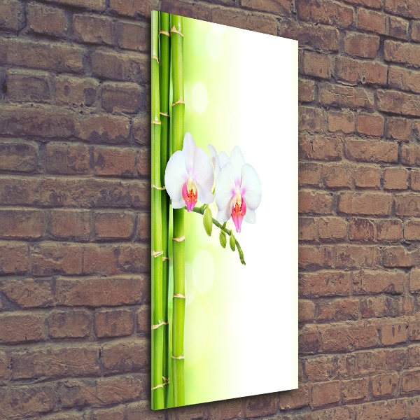 Bild auf Acrylglas vertikal Orchidee und Bambus