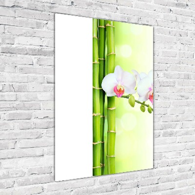 Bild auf Acrylglas vertikal Orchidee und Bambus