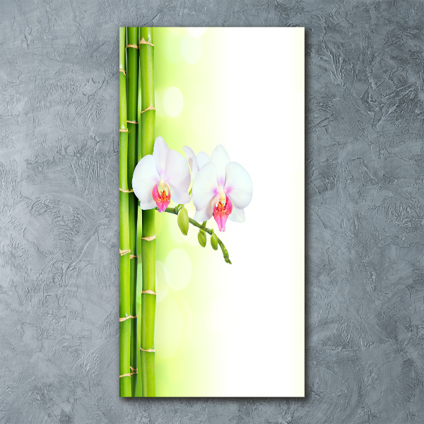 Bild auf Acrylglas vertikal Orchidee und Bambus