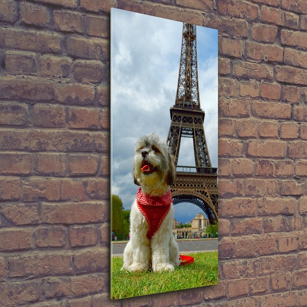 Modernes Acrylbild vertikal Ein Hund in Paris