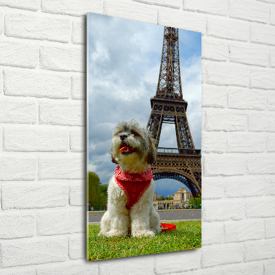 Modernes Acrylbild vertikal Ein Hund in Paris