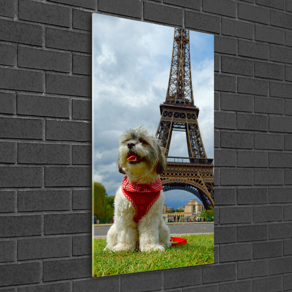 Modernes Acrylbild vertikal Ein Hund in Paris