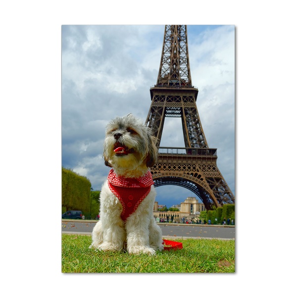 Modernes Acrylbild vertikal Ein Hund in Paris