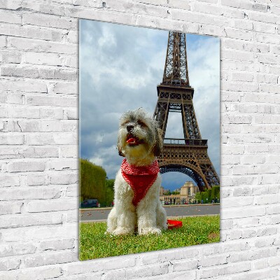 Modernes Acrylbild vertikal Ein Hund in Paris