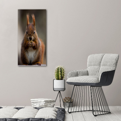 Plexiglasbilder vertikal Eichhörnchen