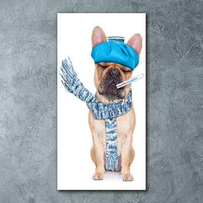 Plexiglasbilder vertikal Kranker Hund