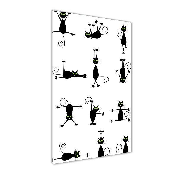 Plexiglasbilder vertikal Katzen