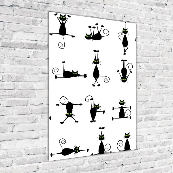 Plexiglasbilder vertikal Katzen