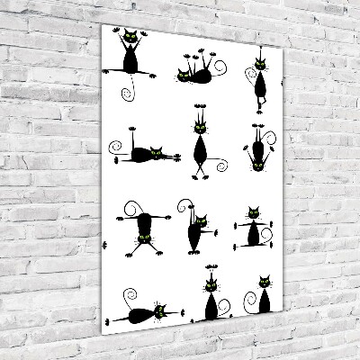 Plexiglasbilder vertikal Katzen