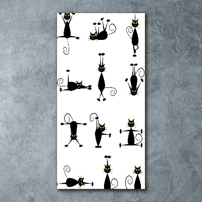 Plexiglasbilder vertikal Katzen