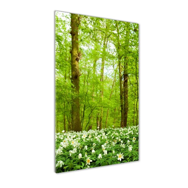 Bild auf Acrylglas vertikal Blumen im Wald