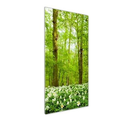 Bild auf Acrylglas vertikal Blumen im Wald