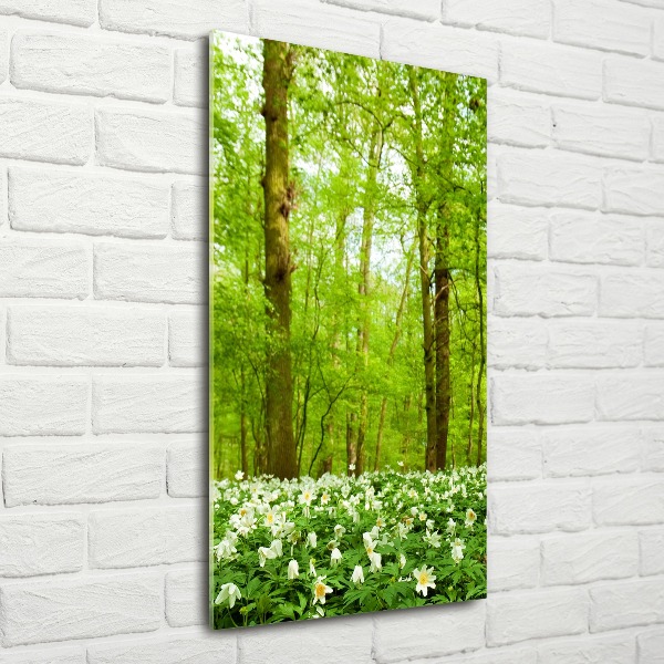 Bild auf Acrylglas vertikal Blumen im Wald