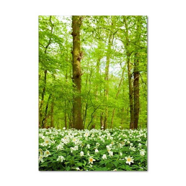Bild auf Acrylglas vertikal Blumen im Wald