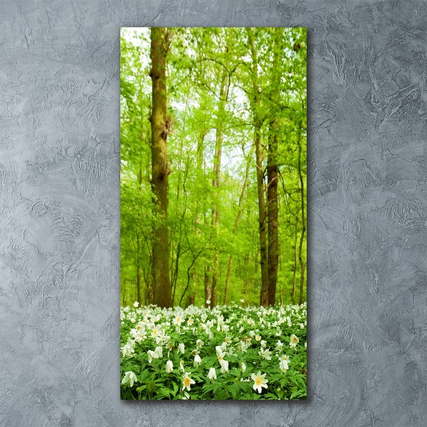 Bild auf Acrylglas vertikal Blumen im Wald